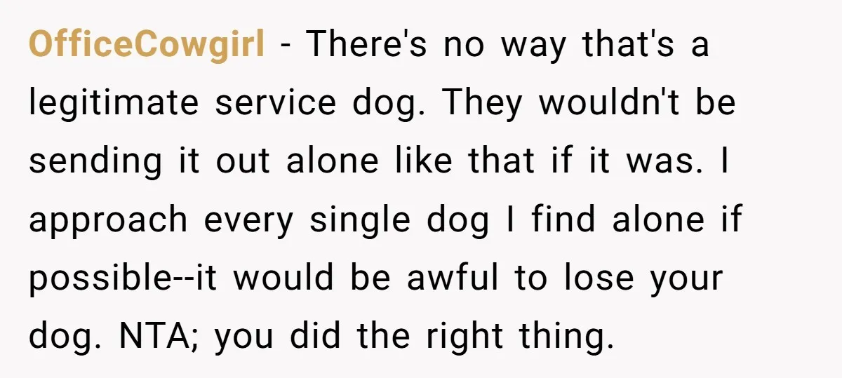 OfficeCowgirl − There's no way that's a legitimate service dog. They wouldn't be sending it out alone like that if it was. I approach every single dog I find alone...