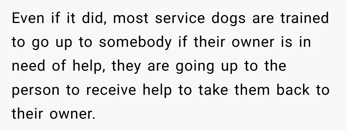 Even if it did, most service dogs are trained to go up to somebody if their owner is in need of help, they are going up to the person to...