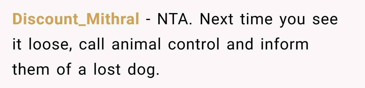 Discount_Mithral − NTA. Next time you see it loose, call animal control and inform them of a lost dog.