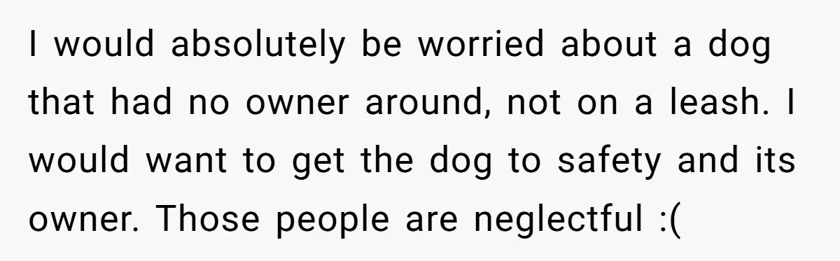 I would absolutely be worried about a dog that had no owner around, not on a leash. I would want to get the dog to safety and its owner. Those...