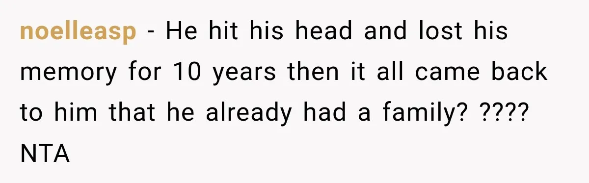 noelleasp − He hit his head and lost his memory for 10 years then it all came back to him that he already had a family? ???? NTA