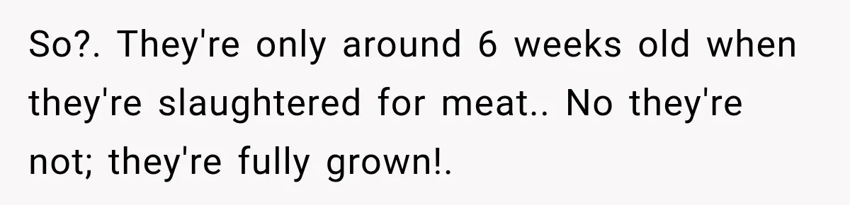 So?. They're only around 6 weeks old when they're slaughtered for meat.. No they're not; they're fully grown!.