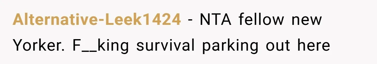 Alternative-Leek1424 − NTA fellow new Yorker. F__king survival parking out here