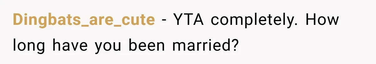 Dingbats_are_cute − YTA completely. How long have you been married?