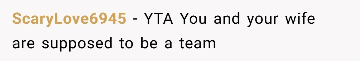 ScaryLove6945 − YTA You and your wife are supposed to be a team