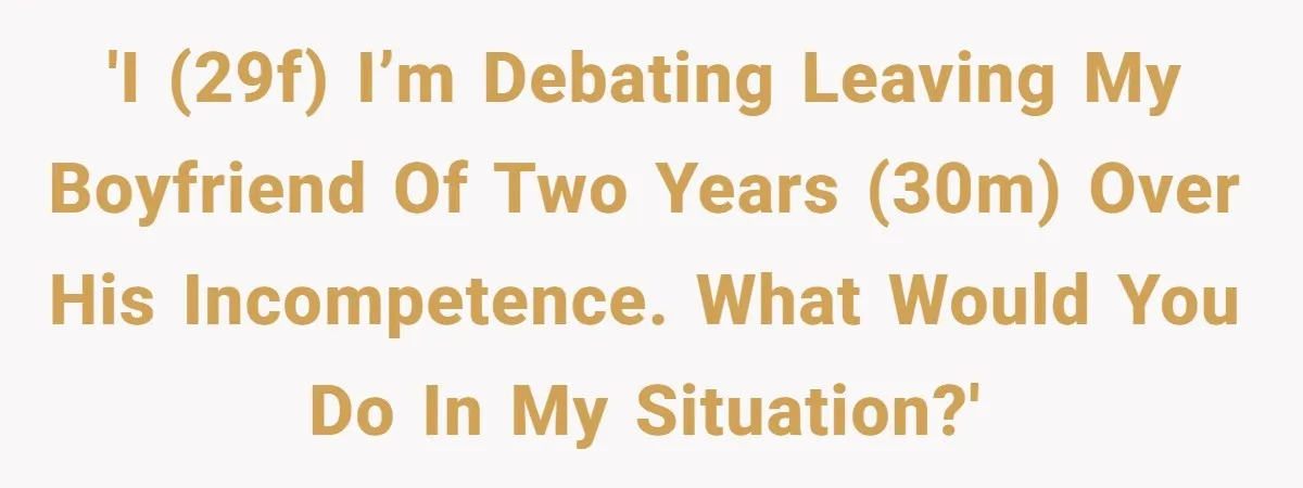 'I (29F) I’m debating leaving my boyfriend of two years (30M) over his incompetence. What would you do in my situation?'