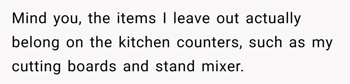 Mind you, the items I leave out actually belong on the kitchen counters, such as my cutting boards and stand mixer.