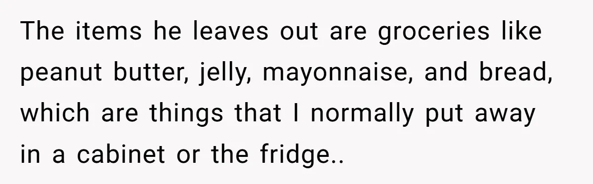 The items he leaves out are groceries like peanut butter, jelly, mayonnaise, and bread, which are things that I normally put away in a cabinet or the fridge.. ​