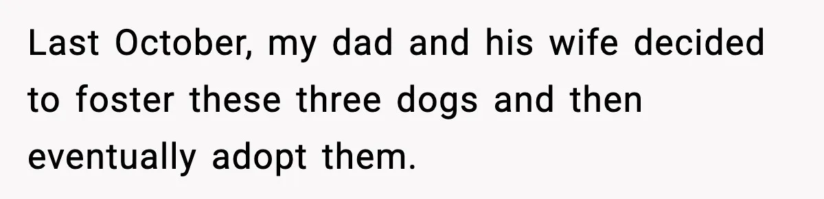 Last October, my dad and his wife decided to foster these three dogs and then eventually adopt them.