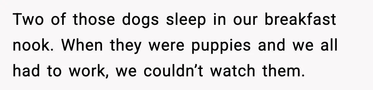 Two of those dogs sleep in our breakfast nook. When they were puppies and we all had to work, we couldn’t watch them.