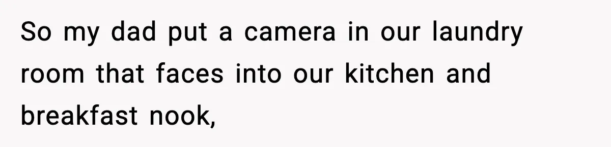 So my dad put a camera in our laundry room that faces into our kitchen and breakfast nook,