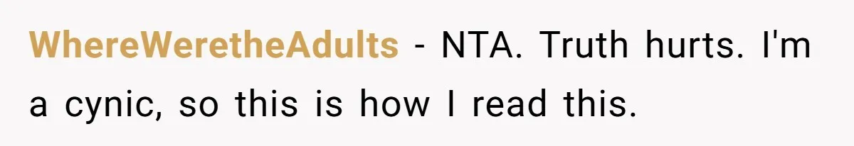 WhereWeretheAdults − NTA. Truth hurts. I'm a cynic, so this is how I read this.