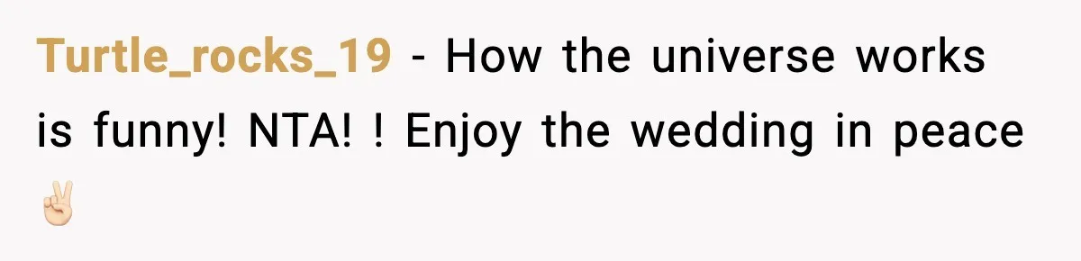 Turtle_rocks_19 − How the universe works is funny! NTA! ! Enjoy the wedding in peace ✌🏻
