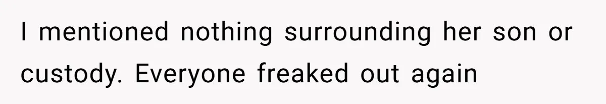 I mentioned nothing surrounding her son or custody. Everyone freaked out again