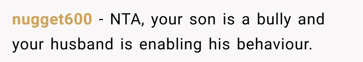 nugget600 − NTA, your son is a bully and your husband is enabling his behaviour.