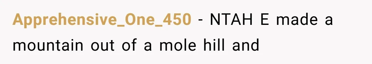 Apprehensive_One_450 − NTAH E made a mountain out of a mole hill and