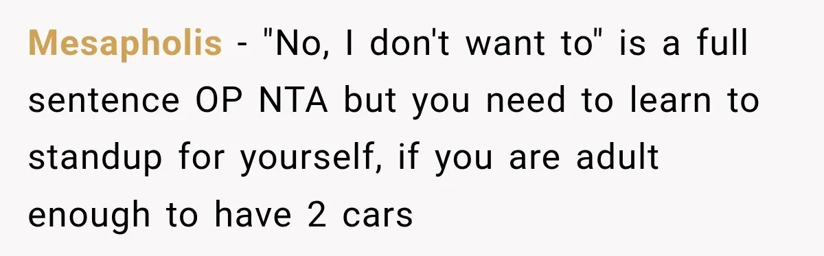 They Called Him Selfish for Protecting His Car, but He Felt He Had Good Reason to Say No Mesapholis − "No, I don't want to" is a full sentence OP NTA but you need to learn to standup for yourself, if you are adult enough to have 2...