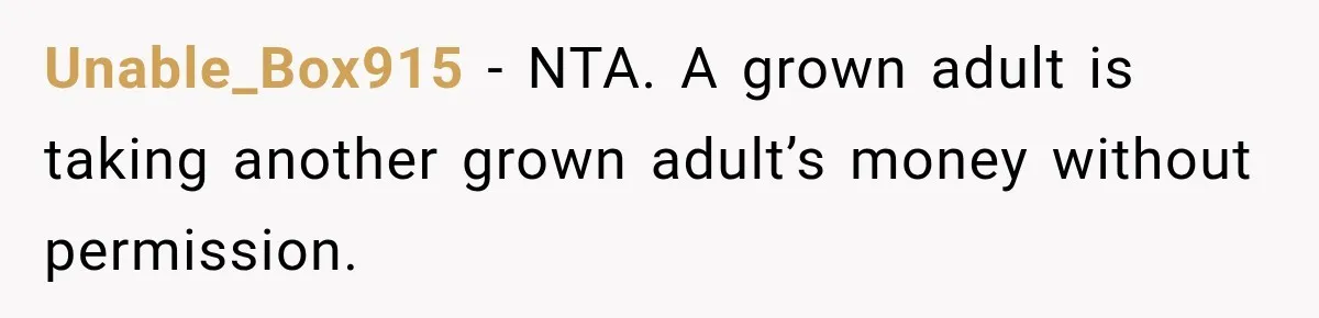 Her Brother Kept Stealing Her Paychecks, So She Finally Called the Police, and the Family Turned Against Her Unable_Box915 − NTA. A grown adult is taking another grown adult’s money without permission.