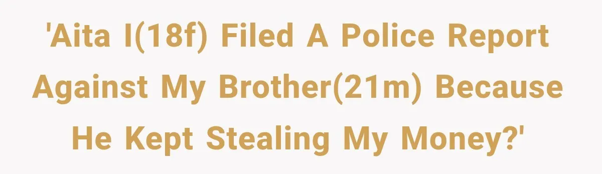 Her Brother Kept Stealing Her Paychecks, So She Finally Called the Police, and the Family Turned Against Her 'AITA I(18F) filed a police report against my brother(21M) because he kept stealing my money?'