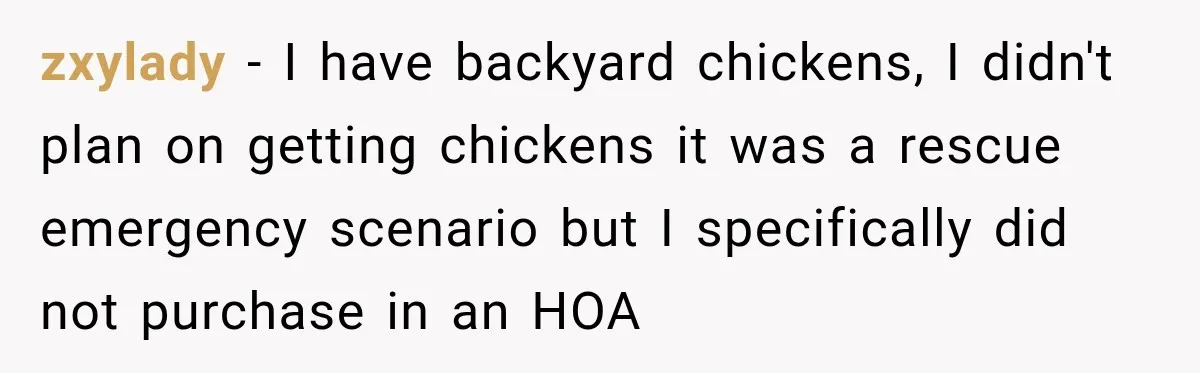 zxylady − I have backyard chickens, I didn't plan on getting chickens it was a rescue emergency scenario but I specifically did not purchase in an HOA
