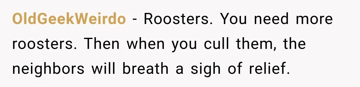 OldGeekWeirdo − Roosters. You need more roosters. Then when you cull them, the neighbors will breath a sigh of relief.