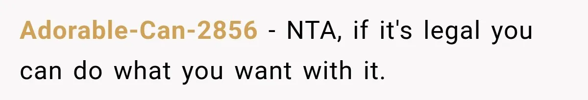 Adorable-Can-2856 − NTA, if it's legal you can do what you want with it.