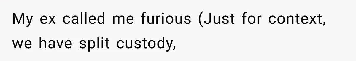 My ex called me furious (Just for context, we have split custody,