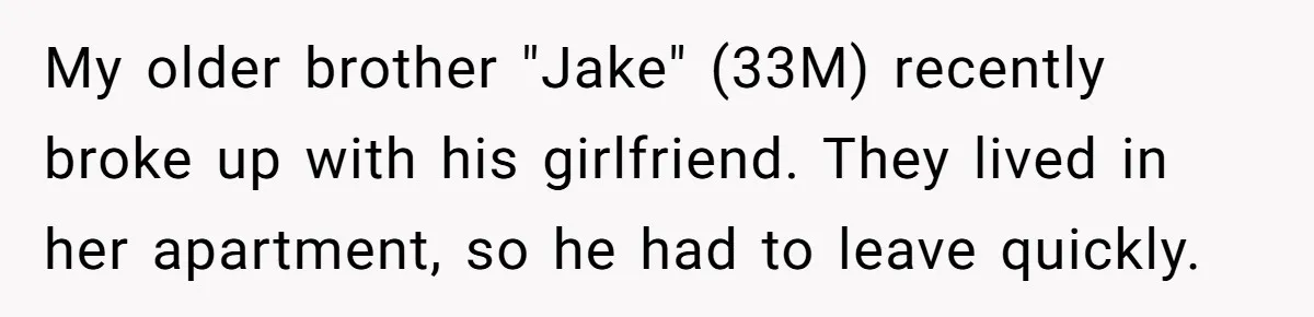 My older brother "Jake" (33M) recently broke up with his girlfriend. They lived in her apartment, so he had to leave quickly.