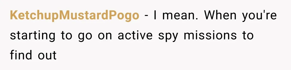 Wife’s Gut Feeling Explodes After Meeting Husband’s “Like A Sister” Colleague — Now Planning To Leave KetchupMustardPogo − I mean. When you're starting to go on active spy missions to find out