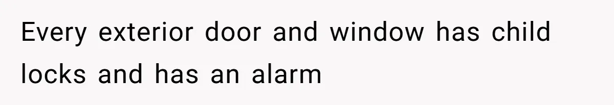 Every exterior door and window has child locks and has an alarm