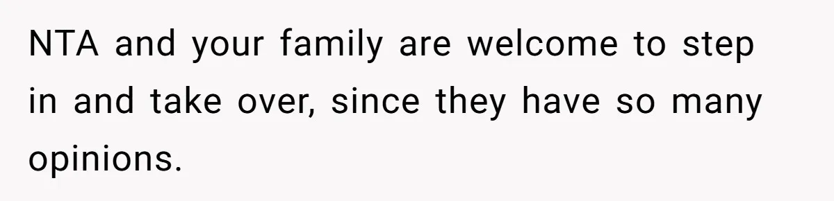 NTA and your family are welcome to step in and take over, since they have so many opinions.