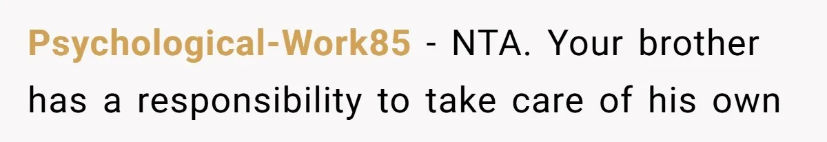 Psychological-Work85 − NTA. Your brother has a responsibility to take care of his own