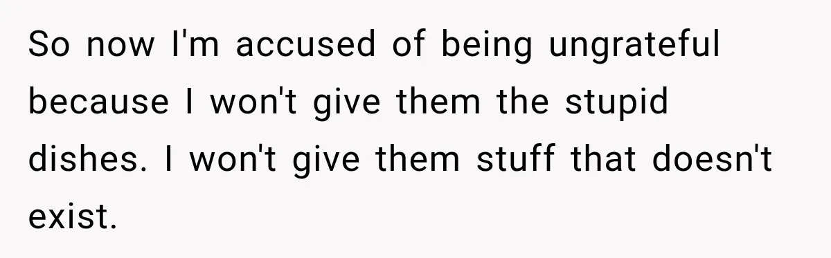 So now I'm accused of being ungrateful because I won't give them the stupid dishes. I won't give them stuff that doesn't exist.
