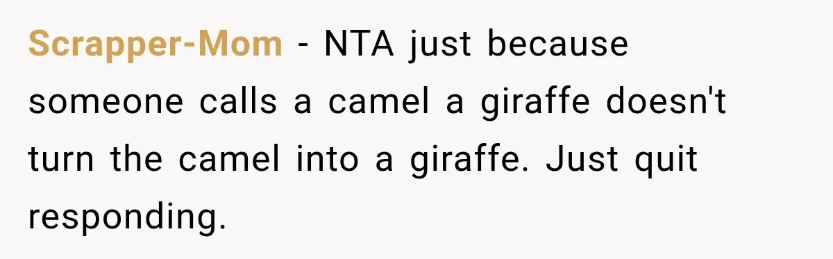 Scrapper-Mom − NTA just because someone calls a camel a giraffe doesn't turn the camel into a giraffe. Just quit responding.