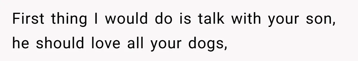 First thing I would do is talk with your son, he should love all your dogs,