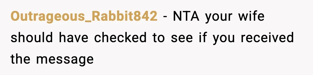 Outrageous_Rabbit842 − NTA your wife should have checked to see if you received the message