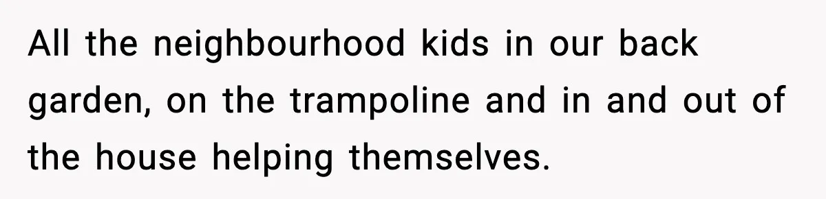 All the neighbourhood kids in our back garden, on the trampoline and in and out of the house helping themselves.