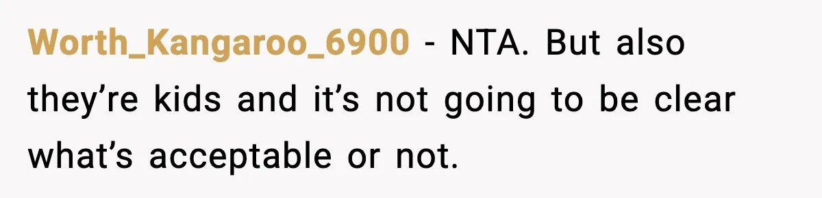 Worth_Kangaroo_6900 − NTA. But also they’re kids and it’s not going to be clear what’s acceptable or not.