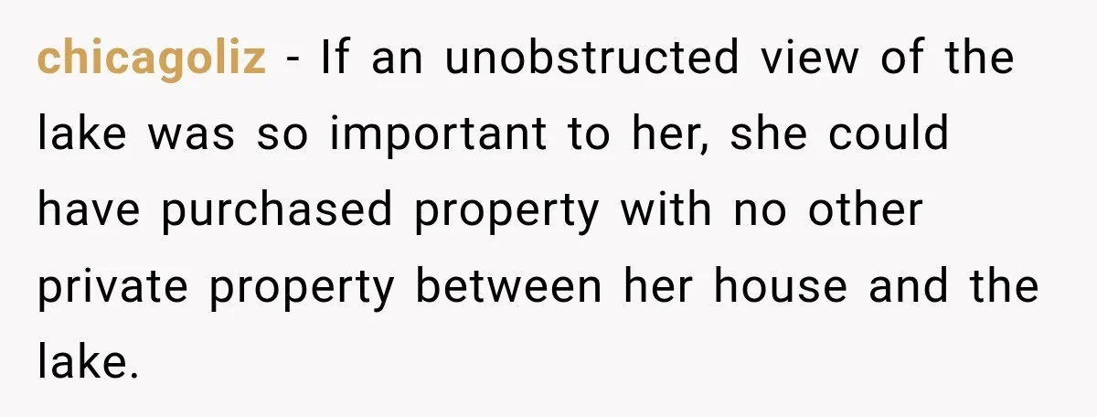 chicagoliz − If an unobstructed view of the lake was so important to her, she could have purchased property with no other private property between her house and the lake.