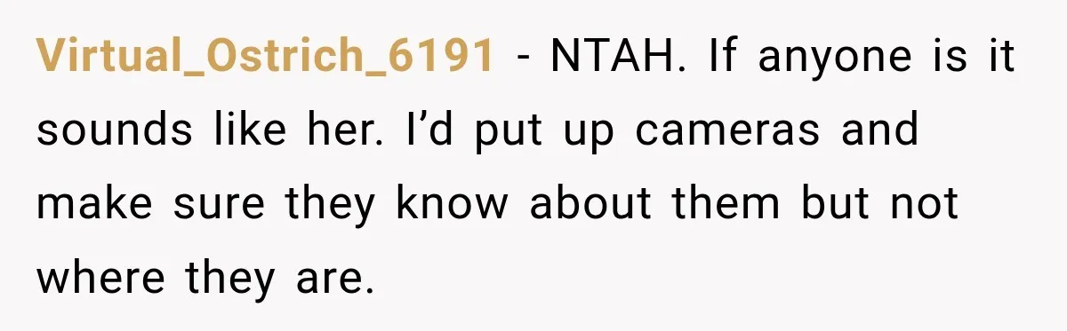 Virtual_Ostrich_6191 − NTAH. If anyone is it sounds like her. I’d put up cameras and make sure they know about them but not where they are.