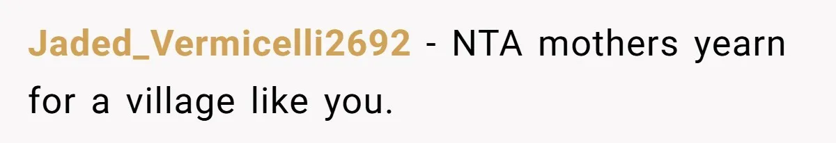 Jaded_Vermicelli2692 − NTA mothers yearn for a village like you.