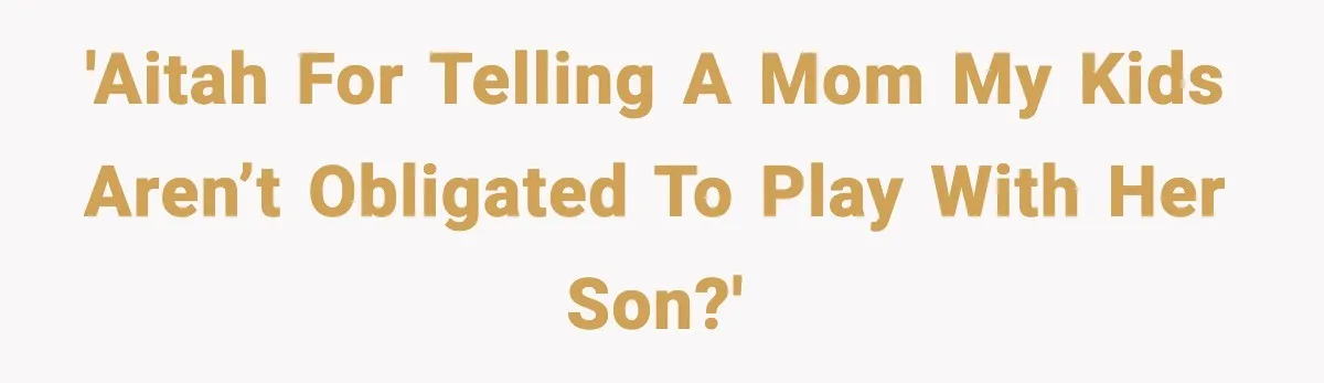 'AITAH for telling a mom my kids aren’t obligated to play with her son?'