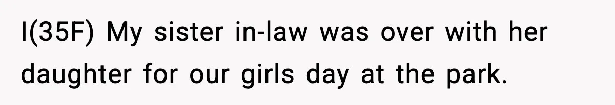 I(35F) My sister in-law was over with her daughter for our girls day at the park.