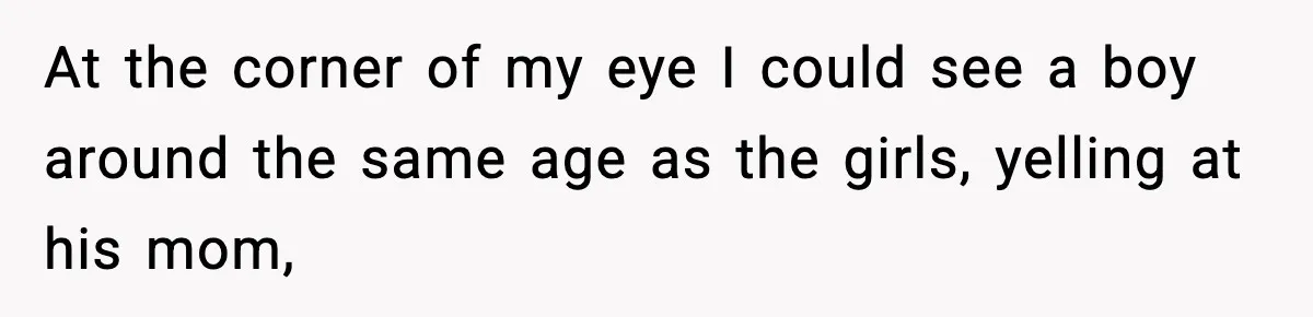 At the corner of my eye I could see a boy around the same age as the girls, yelling at his mom,