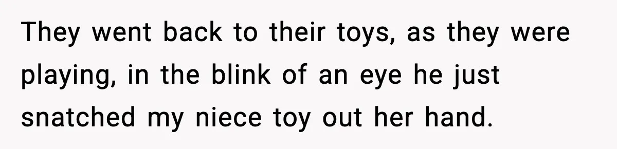 They went back to their toys, as they were playing, in the blink of an eye he just snatched my niece toy out her hand.