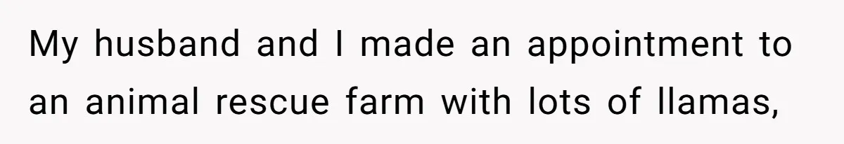 My husband and I made an appointment to an animal rescue farm with lots of llamas,