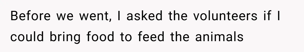 Before we went, I asked the volunteers if I could bring food to feed the animals