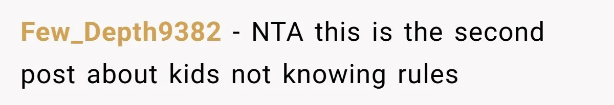 Few_Depth9382 − NTA this is the second post about kids not knowing rules
