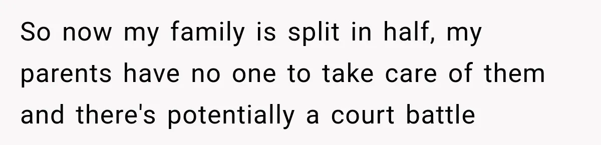 So now my family is split in half, my parents have no one to take care of them and there's potentially a court battle