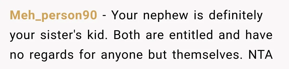 Meh_person90 − Your nephew is definitely your sister's kid. Both are entitled and have no regards for anyone but themselves. NTA